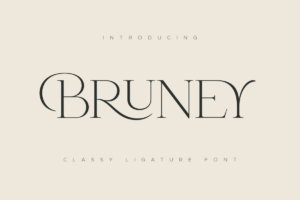 Brand - Lovely Elegant Font