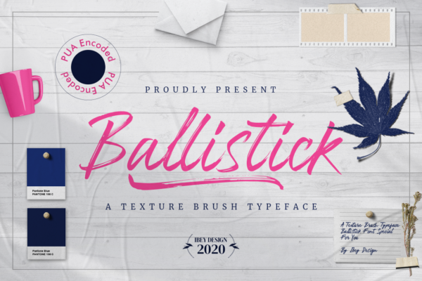 Ballistick - Brush Font with Swash