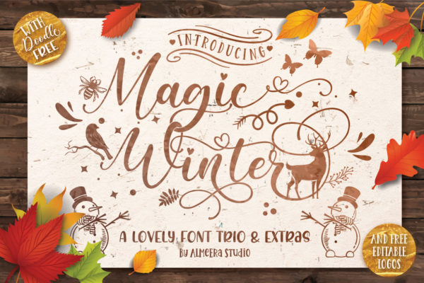 Magic Winter Font Trio with Extras