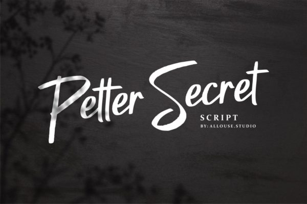 Petter Secret - Script Font