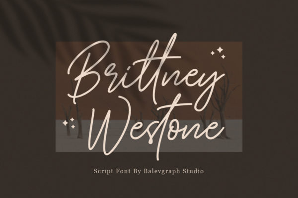Brittney Westone - Handwritten Script Font