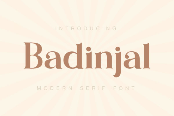 Badinjal - Modern Serif Font