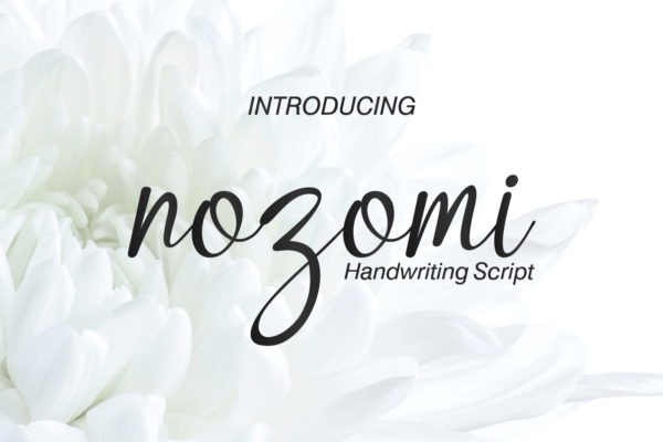 Nozomi - Handwriting Script Font