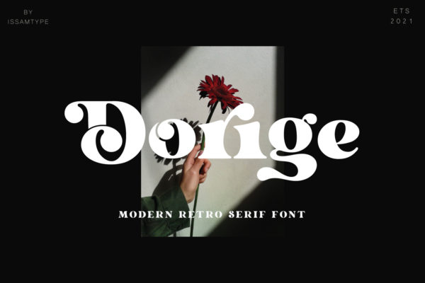Dorige - Modern Retro Serif Font