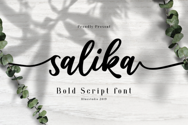 Salika Bold Script Font