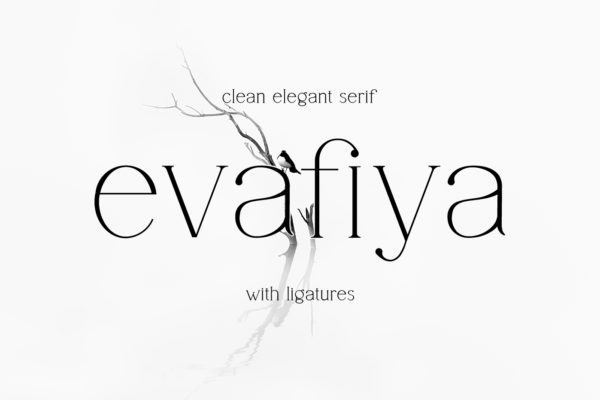Evafiya - Elegant Serif