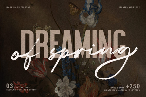 Dreaming Of Spring Stylish Font Duo