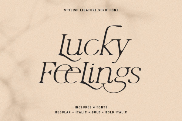 Lucky Feelings - Serif Font Family