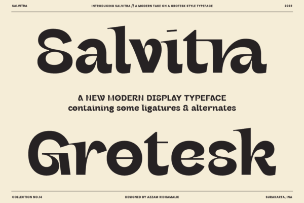 Salvitra - Modern Display Font