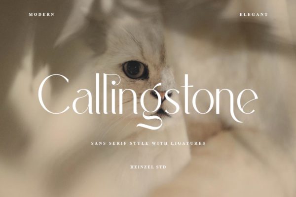 Callingstone - Modern Sans Serif Font