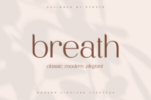 Break Love - Classy Retro Font