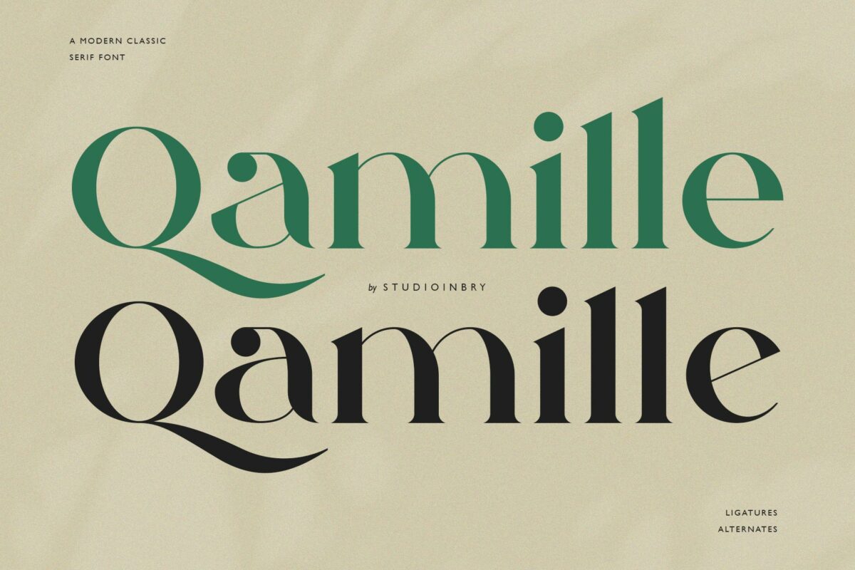 Qamille - Modern Classic Serif