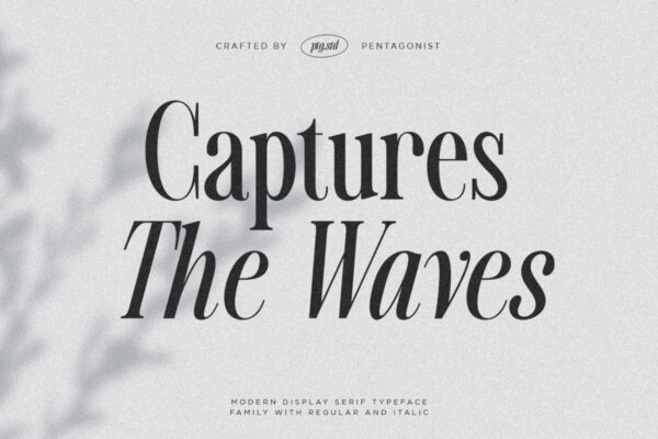Captures The Waves - Modern Display