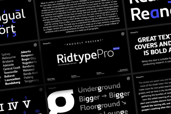Ridtype Pro - Font Family Sans Serif
